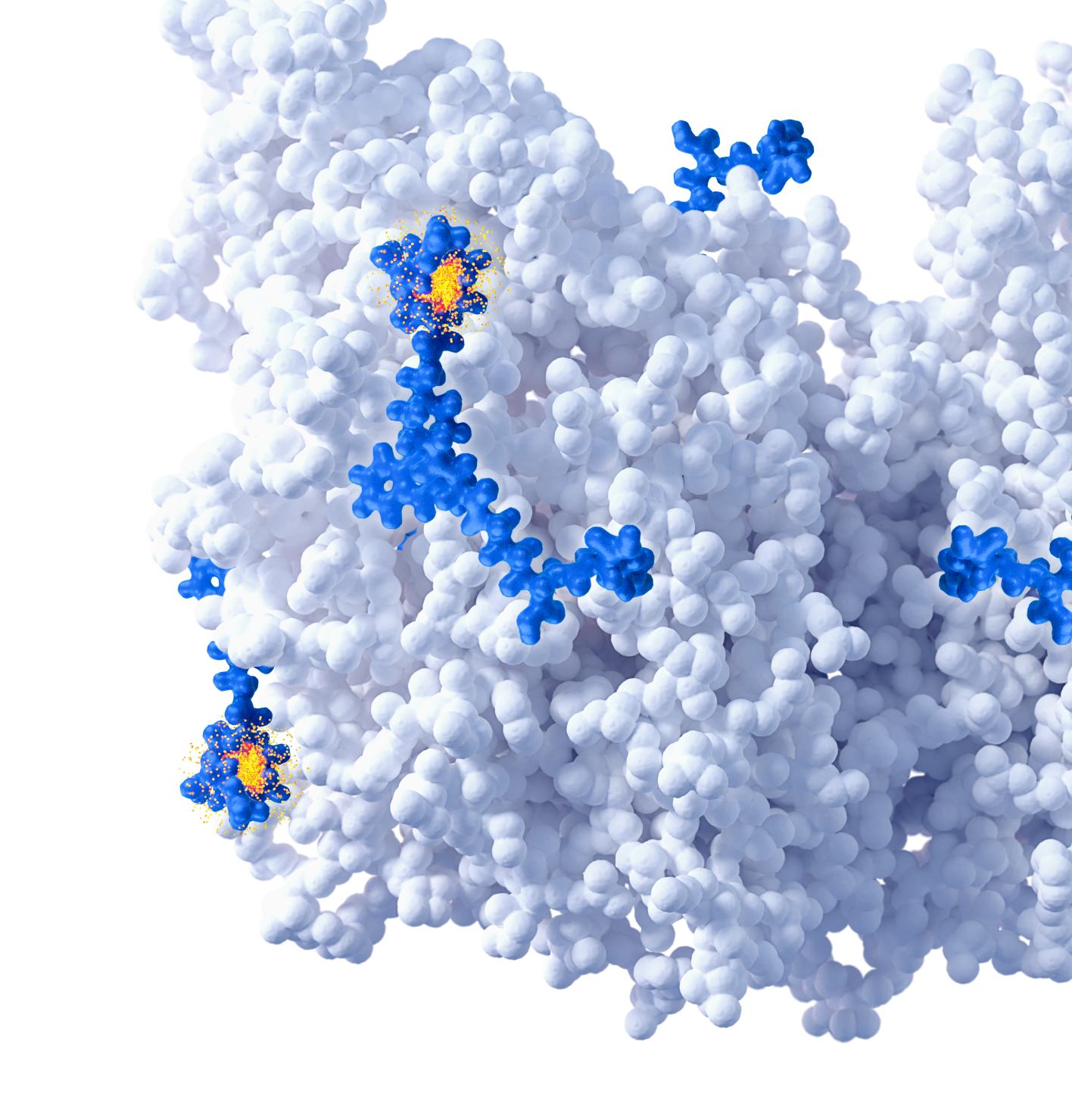 science of rlt