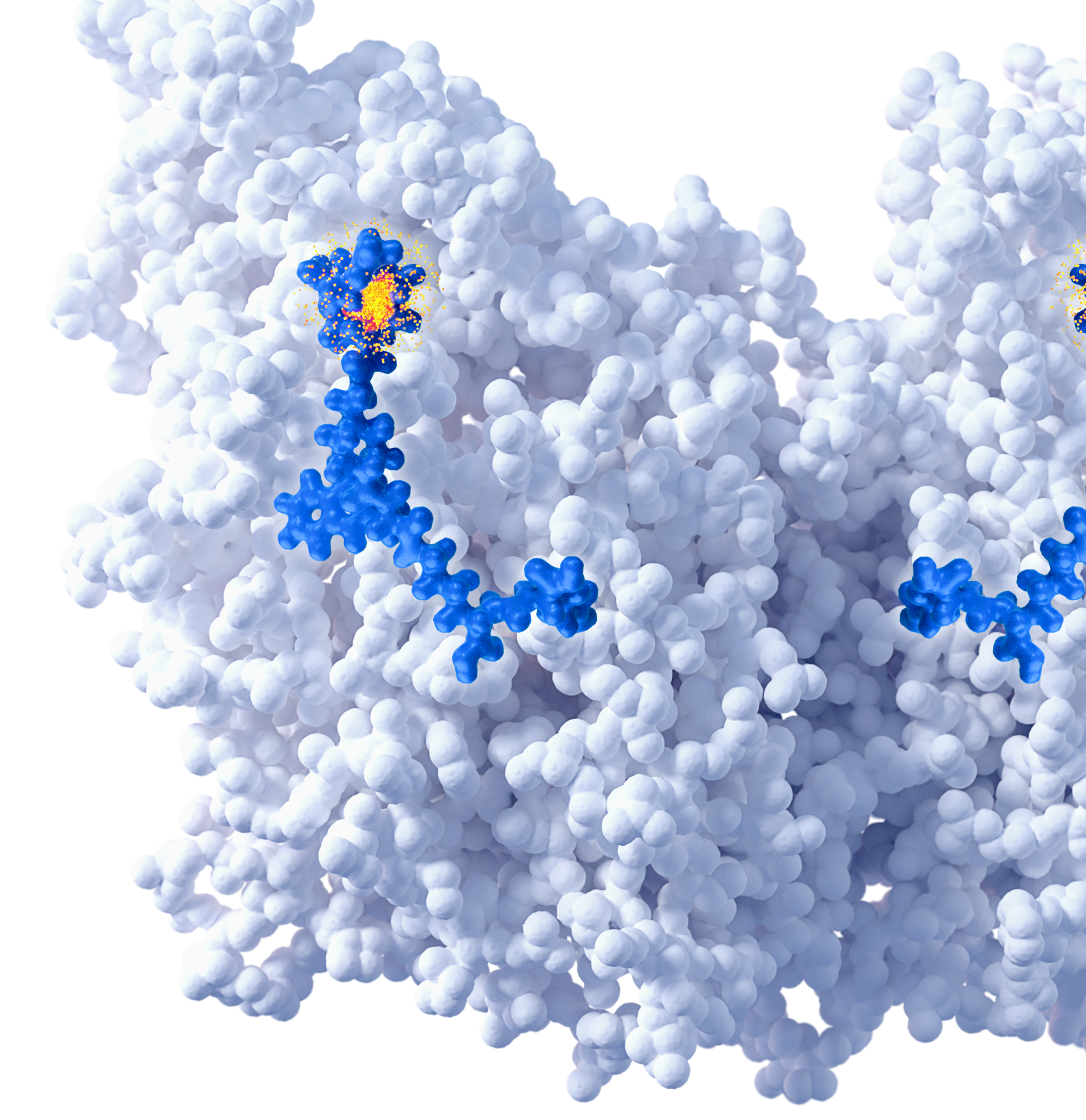 science of rlt